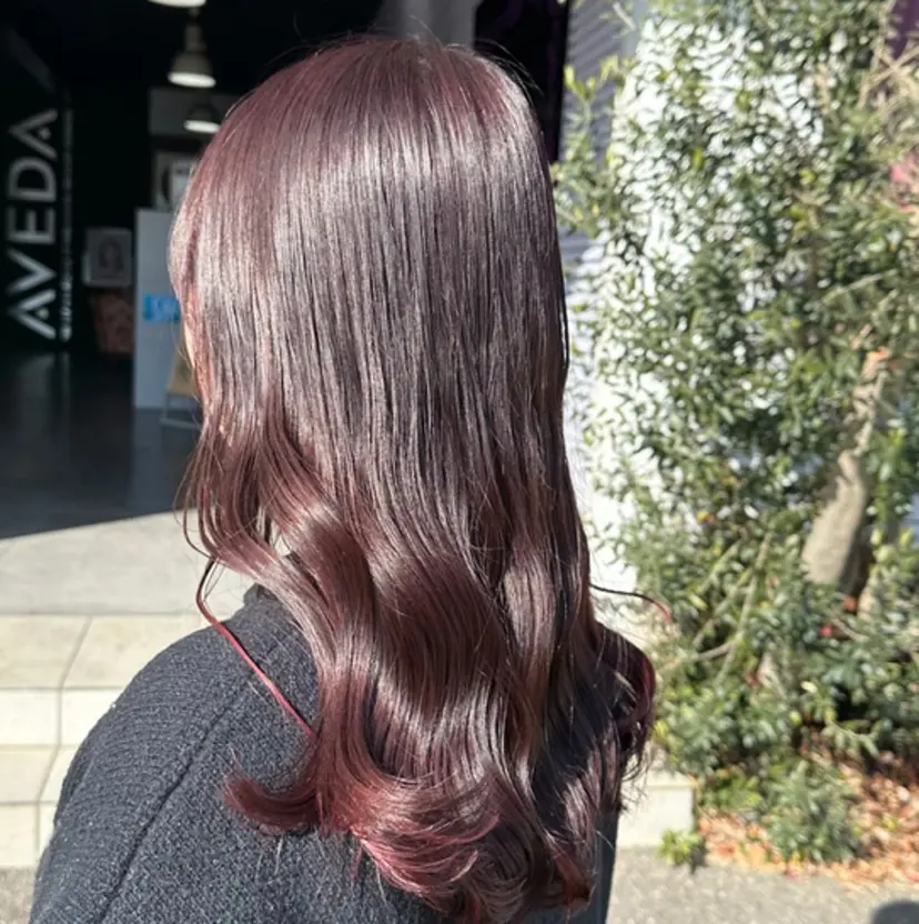 川上 美砂の掲載