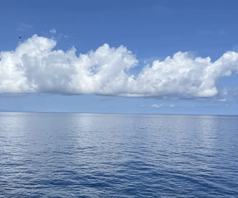 CECIL 瑞希の掲載