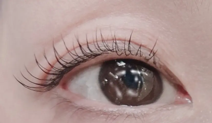 佐藤 智美の掲載