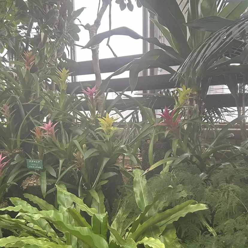 🪐メンズモデル募集 | オカモトノア🪐の掲載