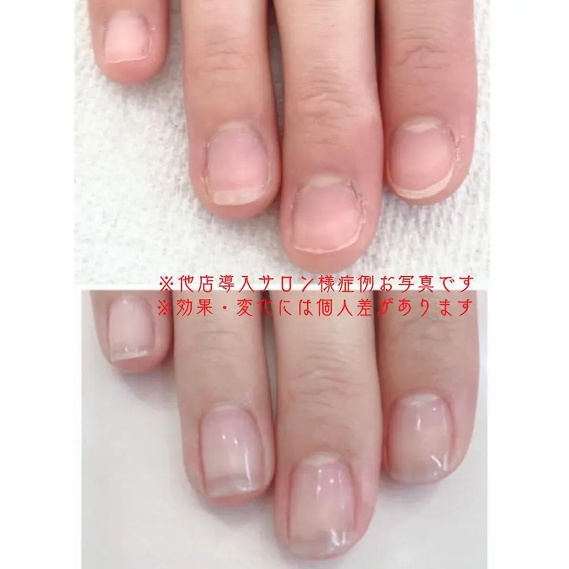 松原 麻希子の掲載