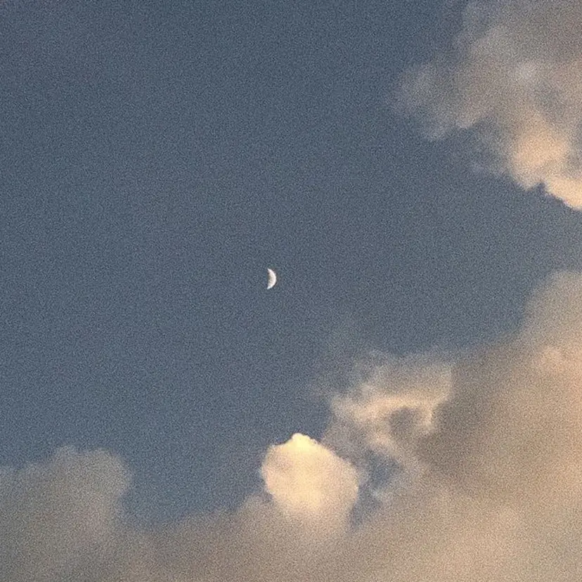 🍀 渡邊 和 🍀の掲載