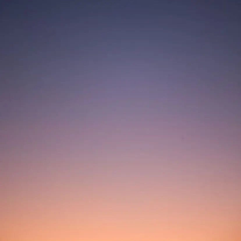 樋口 美優の掲載