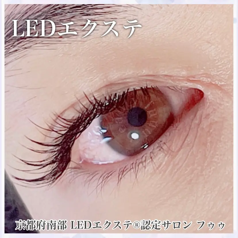 斉藤 靖子の掲載