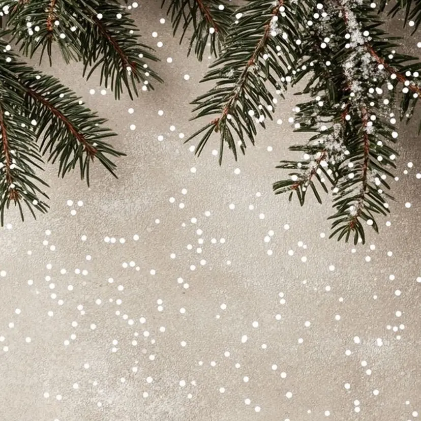 MOE ネイルサロンの掲載