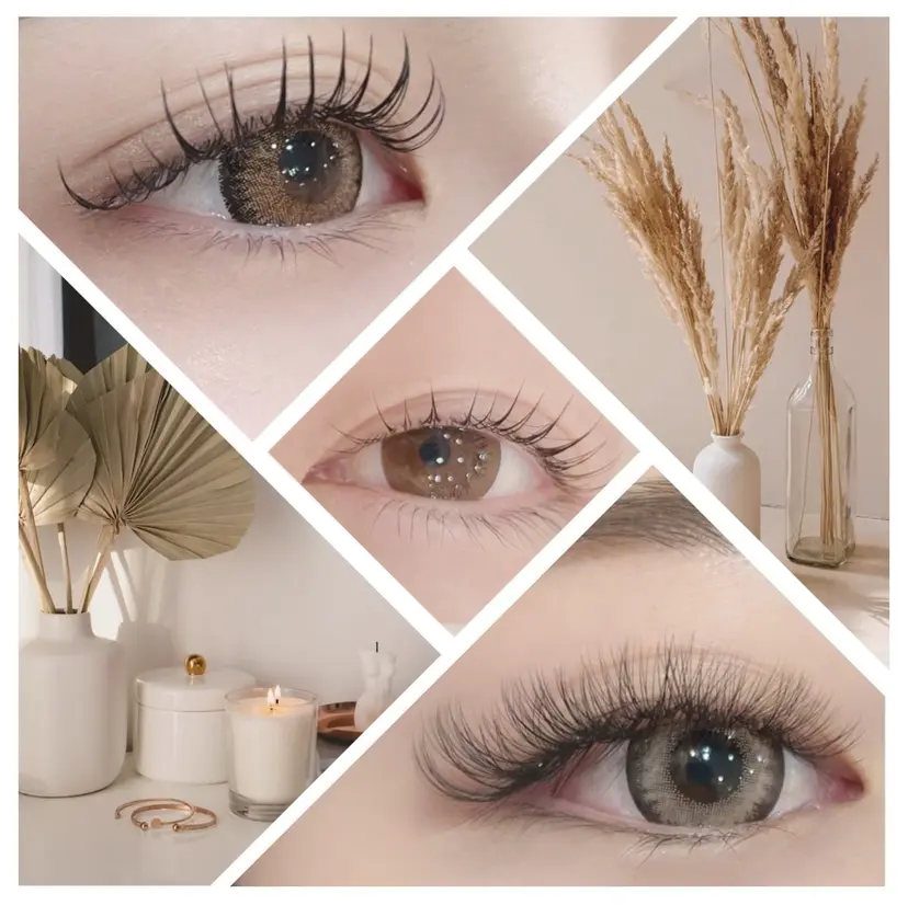 eyelash amoの掲載