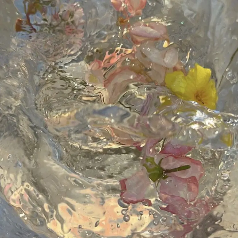 モデル募集中 🌷スズの掲載