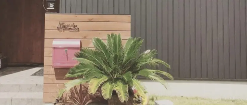 小坂井 安理の掲載