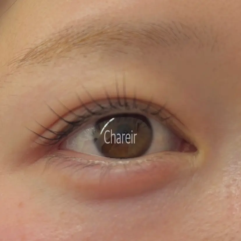 風間 麻友の掲載