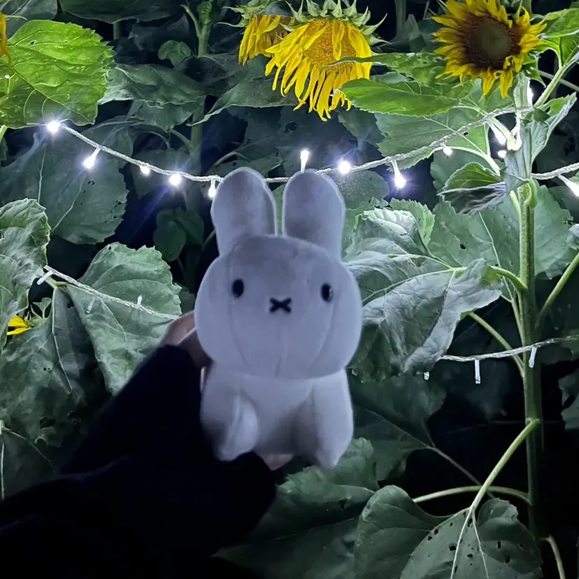 Aswy.新小岩 chiiの掲載