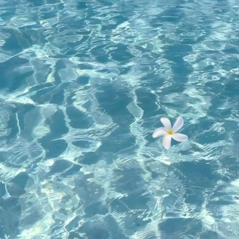 古田夏鈴 /モデル募集中の掲載