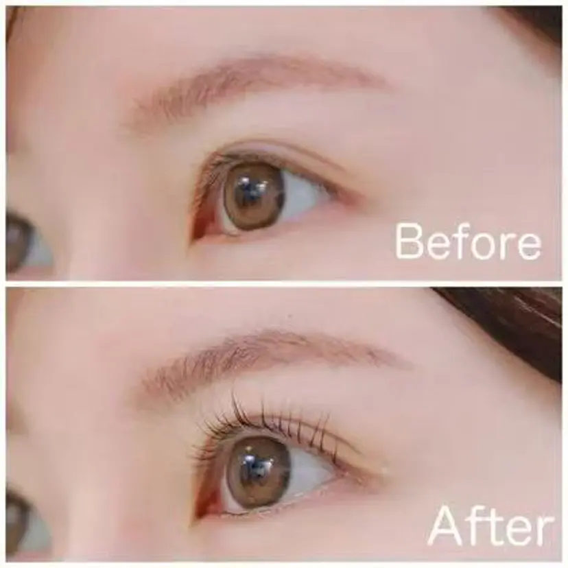 オアシス OASISの掲載