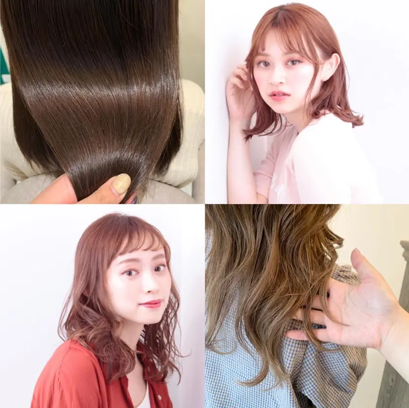 こくしょう れいかの掲載