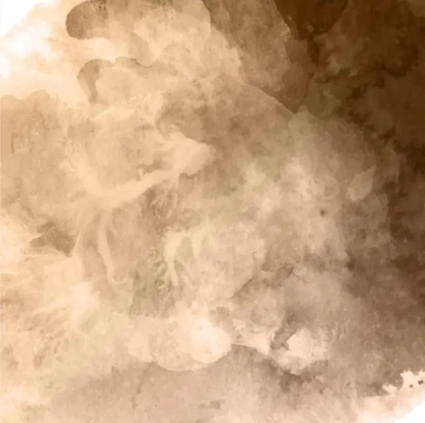 Li-Fra 神野さやの掲載