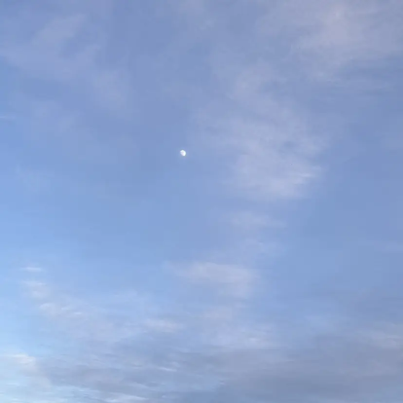 akane💜 自由が丘☆彡の掲載