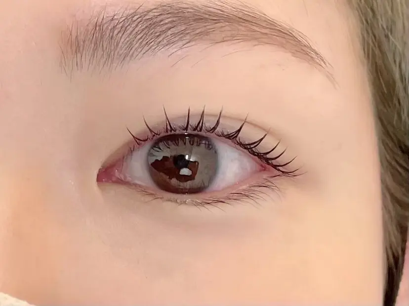 FOXYLASH難波 sasakiの掲載