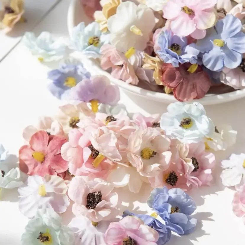 sasaki rinaの掲載