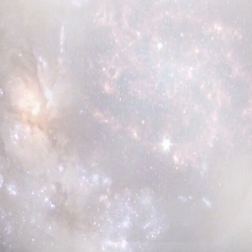 谷田部 結衣の掲載