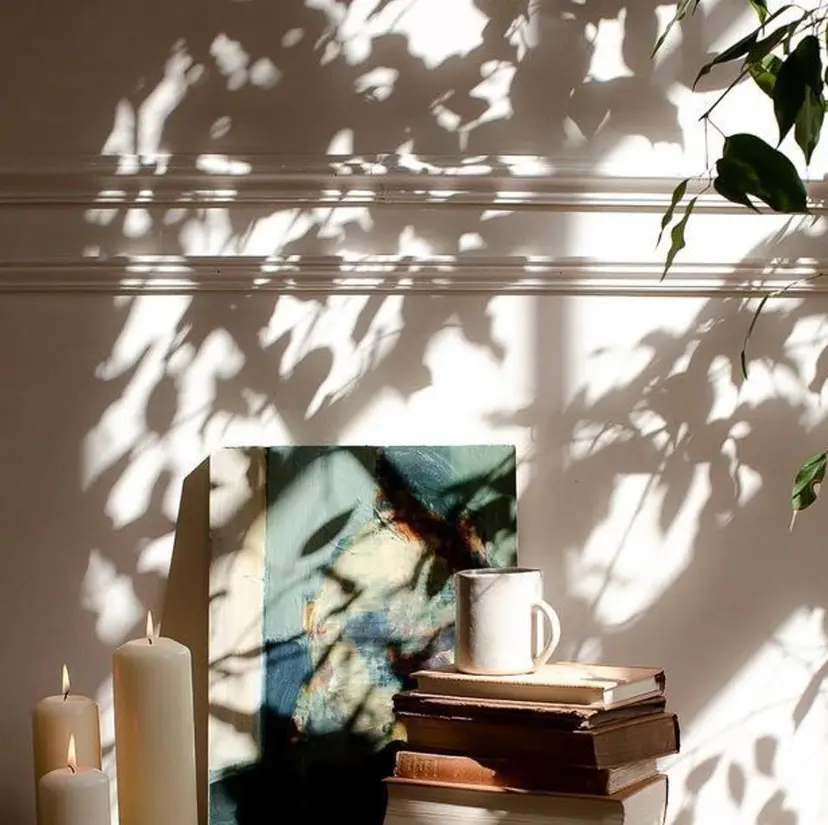 森田 亜季の掲載