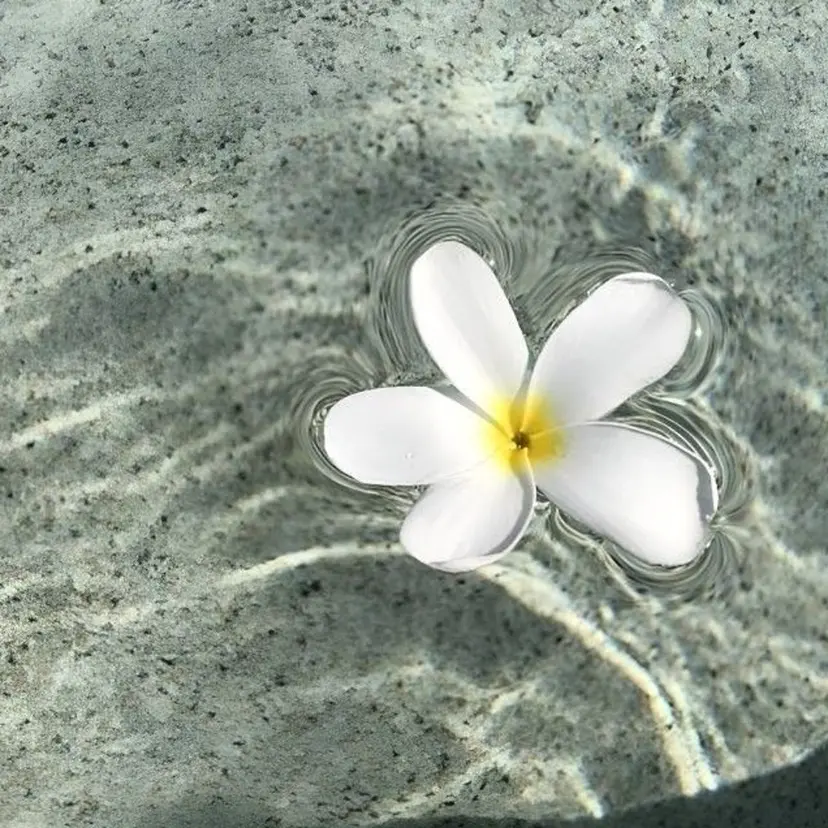 Barber Restの掲載