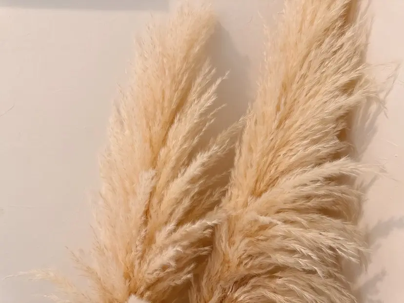 🩰ユ ウ 《eye&brow》の掲載