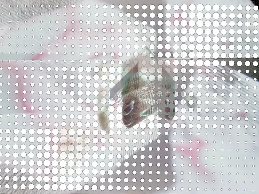 マリーテレジア梅田 シミズの掲載