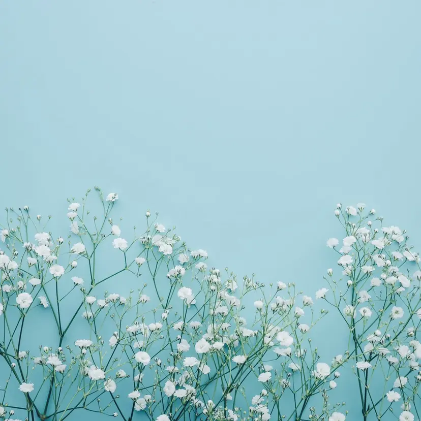 おきな みえこの掲載