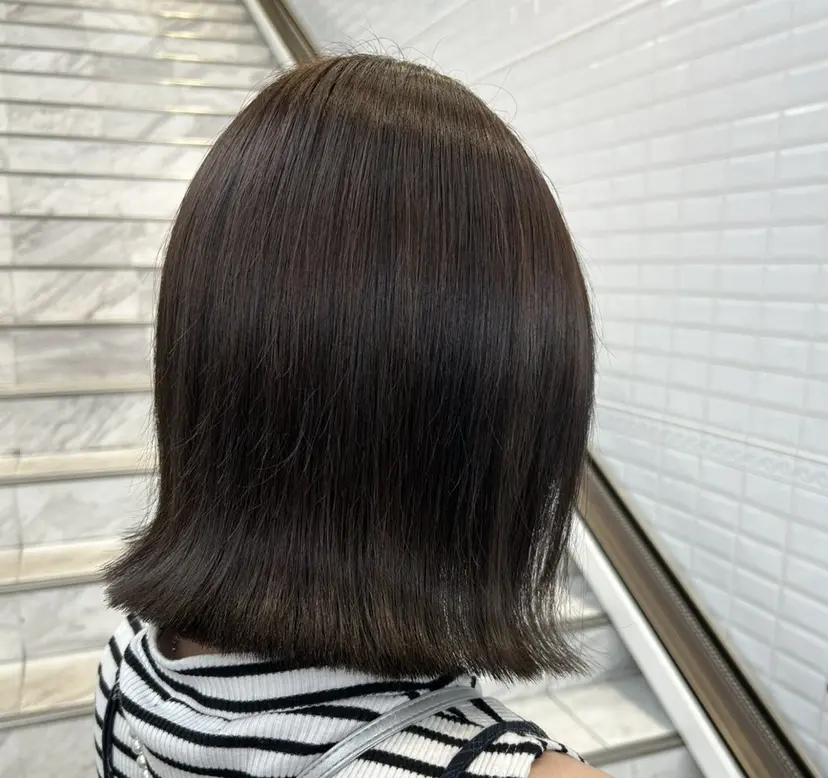 安田 芽生の掲載