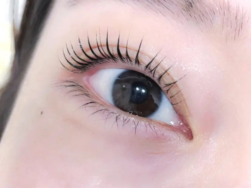 eyelash aimy伏見店の掲載