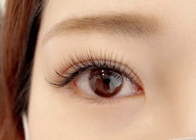 リリー アイラッシュの掲載