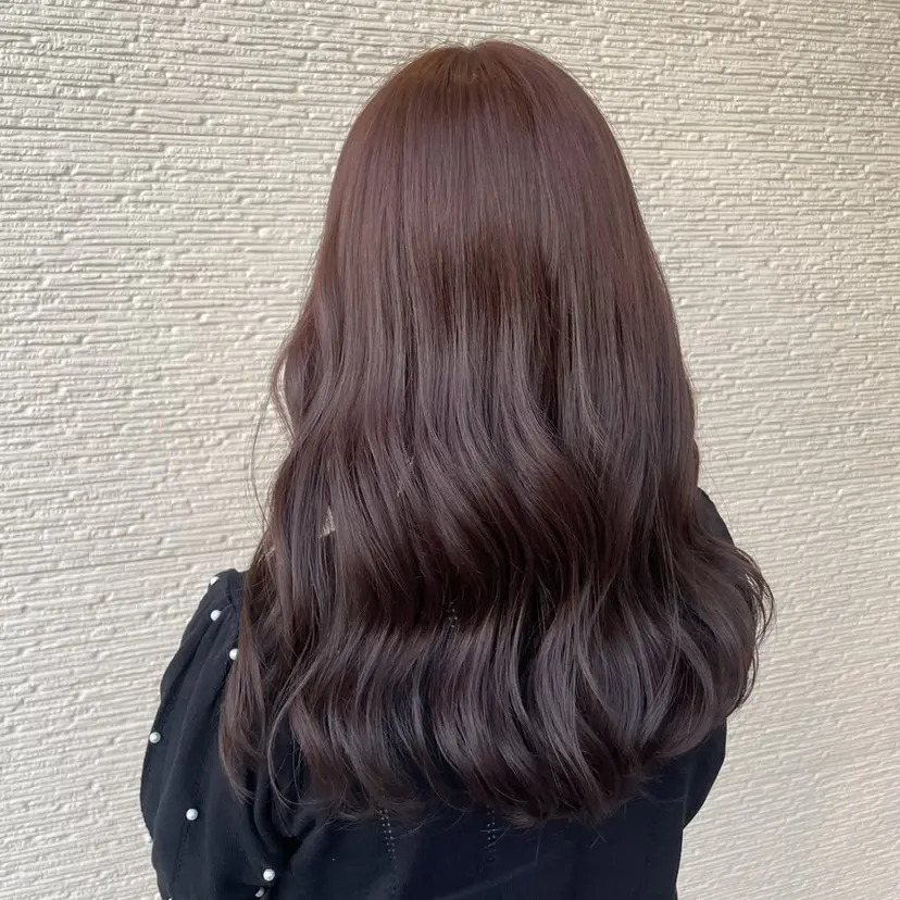 坂上 佳乃の掲載