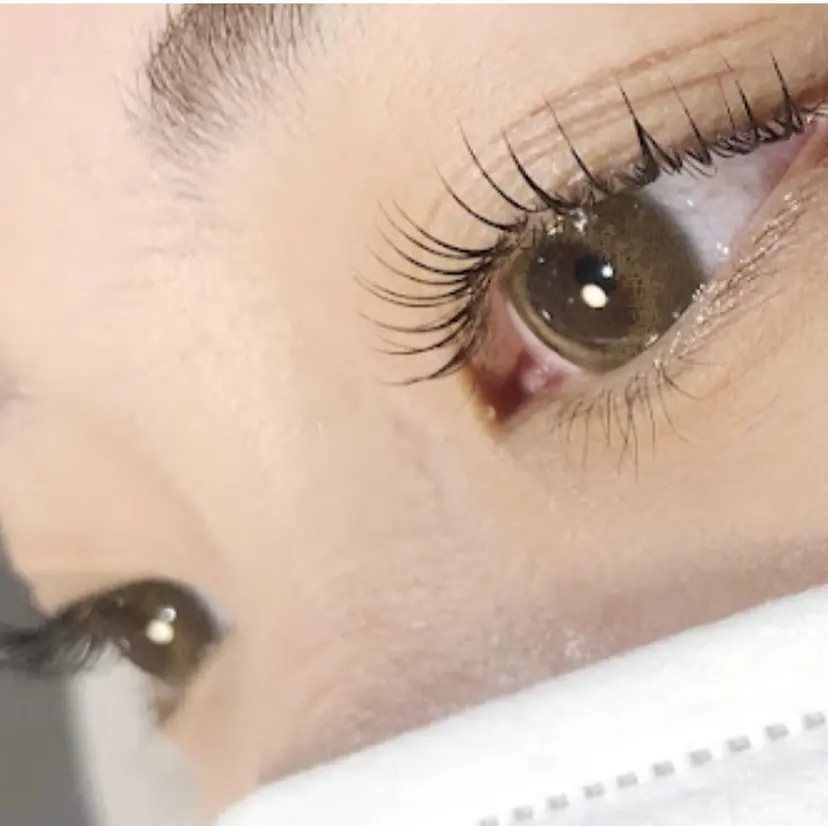 oikawa senaの掲載