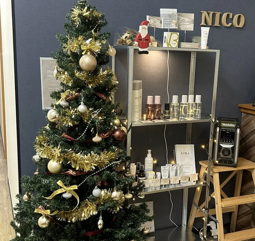 nico + 鷲野の掲載