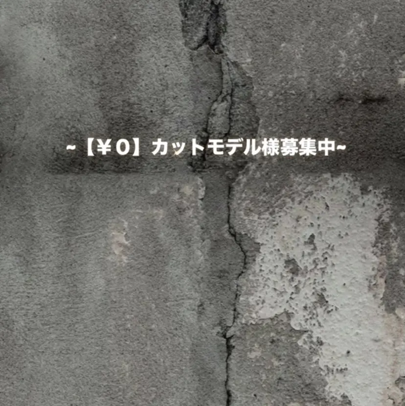 さくら/ カラー/縮毛矯正の掲載