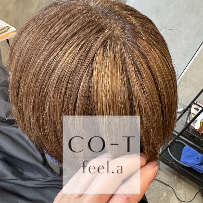 石沢 知康の掲載