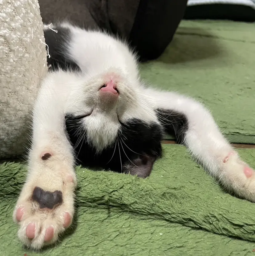 前田 知輝の掲載