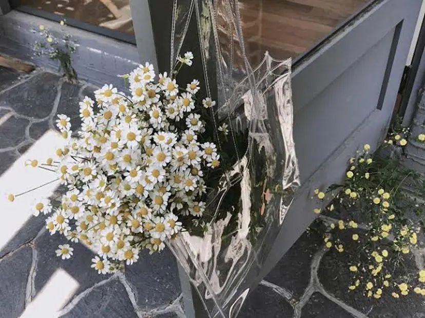 Ailes MUKAIの掲載