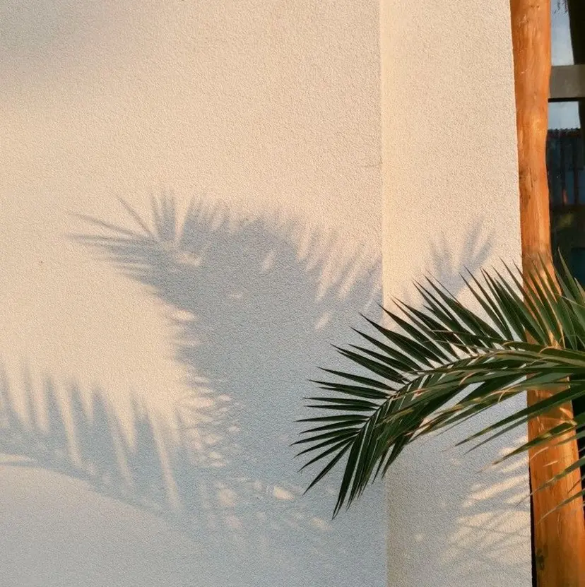 COCONA/ORO モデル様募集中の掲載