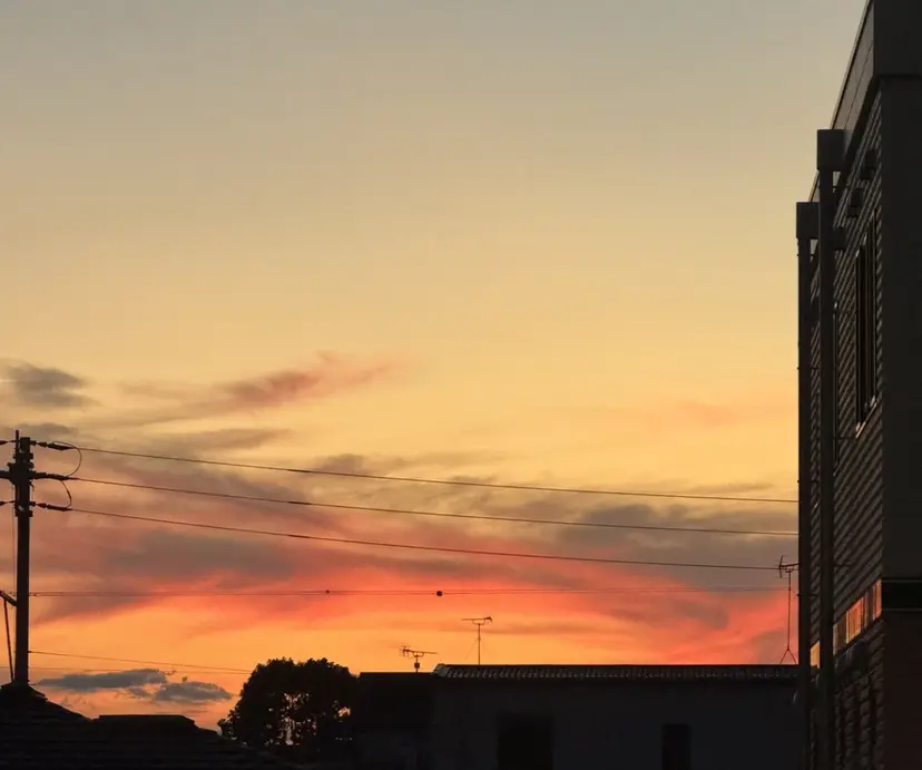 スギヤマ ショウゴの掲載