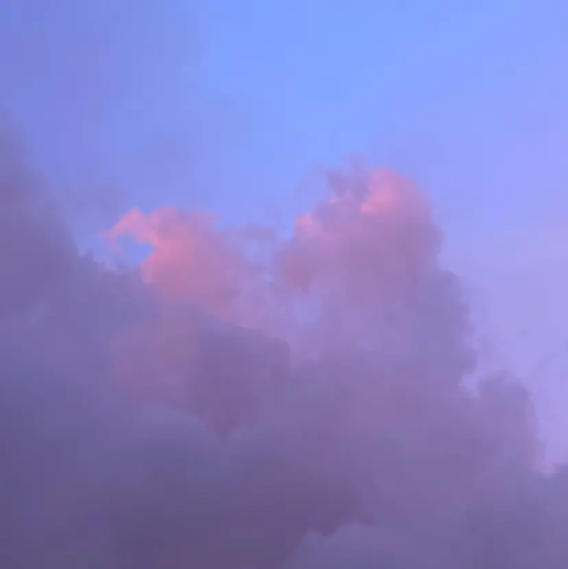 橋元 珠梨の掲載