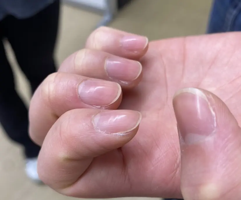 山口 紗弥の掲載