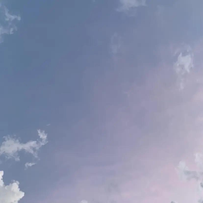 山川 里帆の掲載