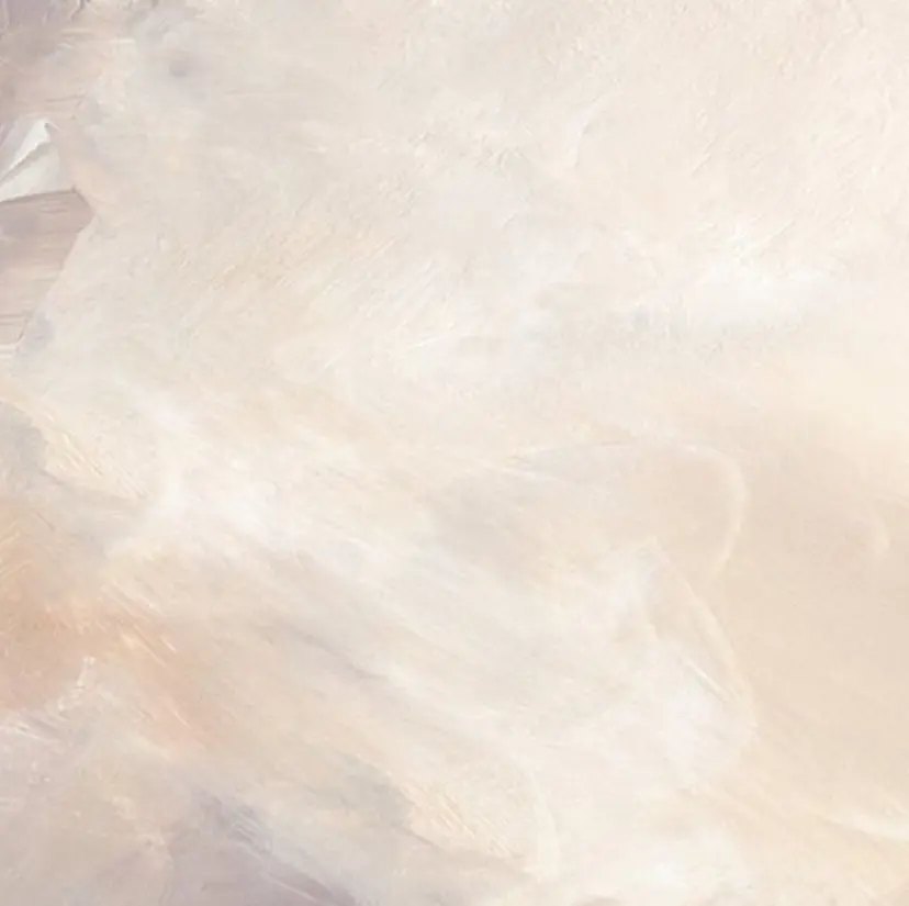 成瀬 紀慧の掲載