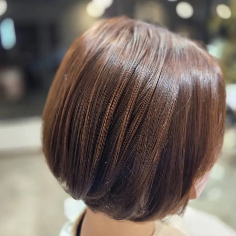 坂井 唯人の掲載