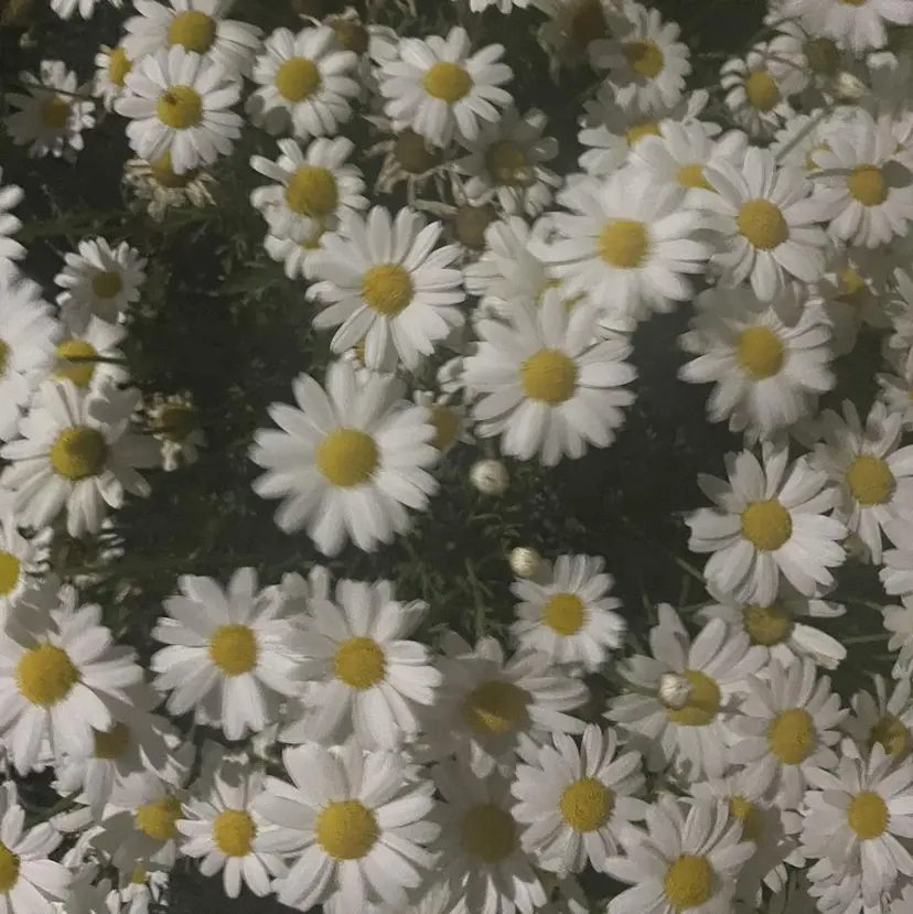 暖色カラー/ おおいえひびきの掲載