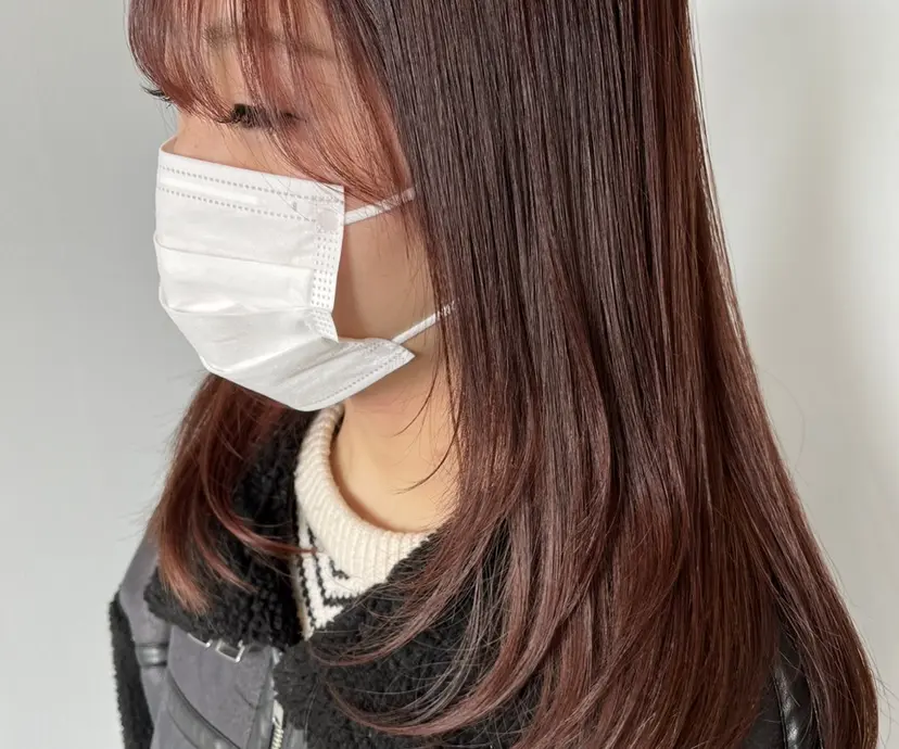 アラワラブルー ふじいの掲載