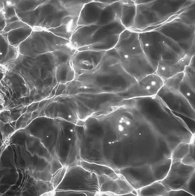 髪質改善 / 艶 / SHION🐑🌿の掲載