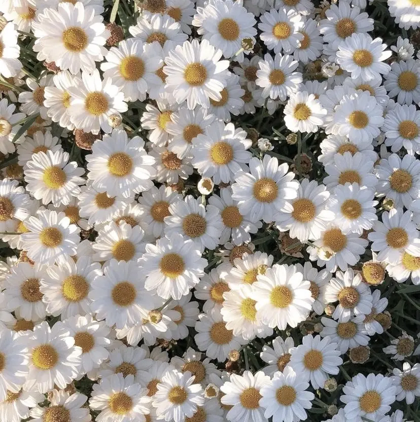 Uni. 【ユニ】の掲載