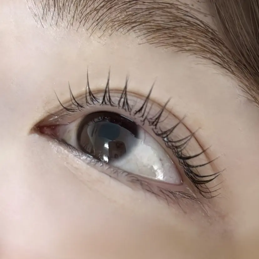 Moe 🩶 マリーテレジアの掲載