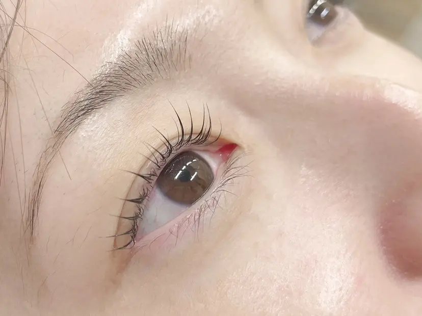 セレビアイ青葉台 ♡anの掲載